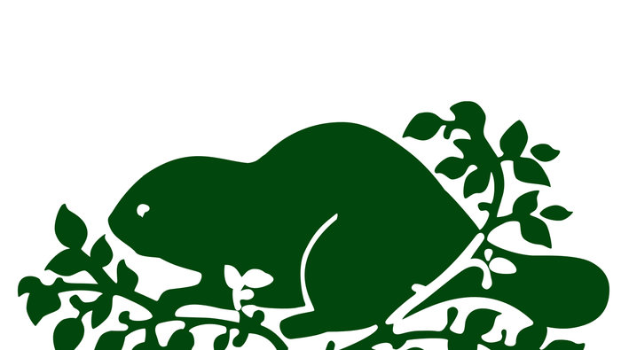 maillot de bain roots